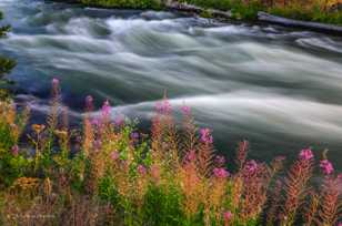 Deschutes River-1391 Deschutes River-1391